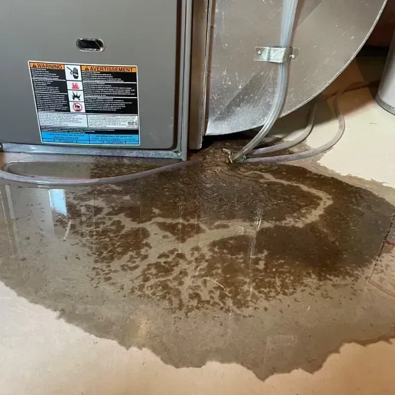 Appliance Leak Cleanup in Northfield, KY